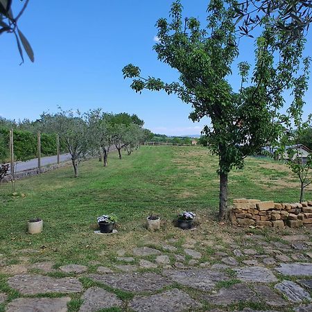 Apartma Vista Baredi Ізола Екстер'єр фото