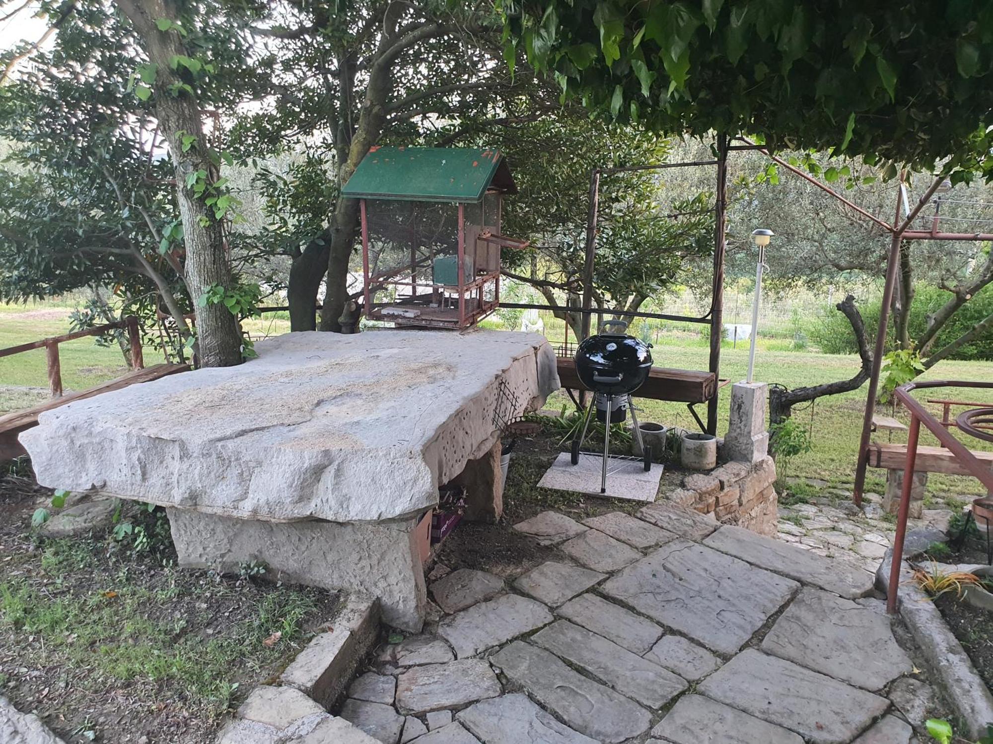 Apartma Vista Baredi Ізола Екстер'єр фото